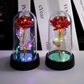 Rose Lamp LED Night Light Decorative Dome Gift