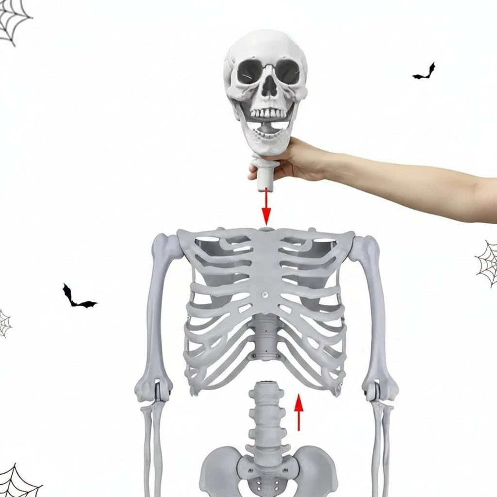 Halloween Decoration Skeleton Figure Life-Size Display