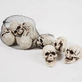 Spooky Halloween Skeleton Skull Decor – Eerie Home Accent