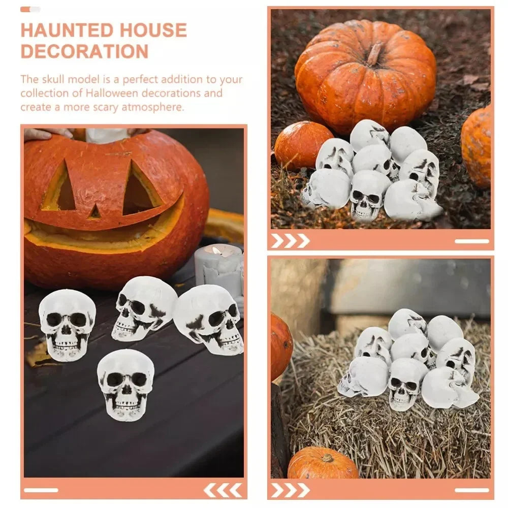 Halloween Decoration Skeleton Skulls Spooky Home Accent