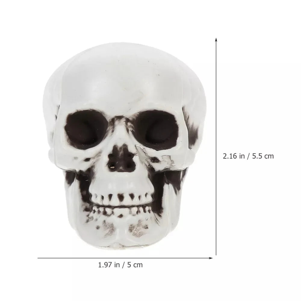 Spooky Halloween Skeleton Skull Decor – Eerie Home Accent