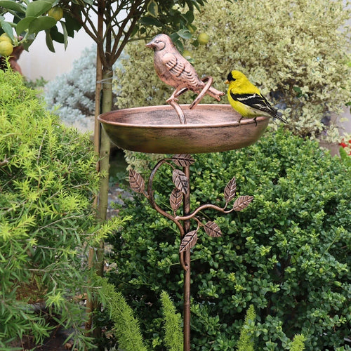 Elegant Metal Bird Bath Garden Decor with Decorative Stand