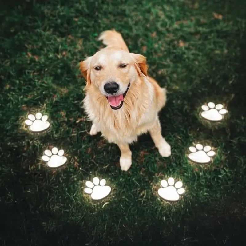 Solar-Powered Paw Print Path Lights - Waterproof Outdoor Garden Decor